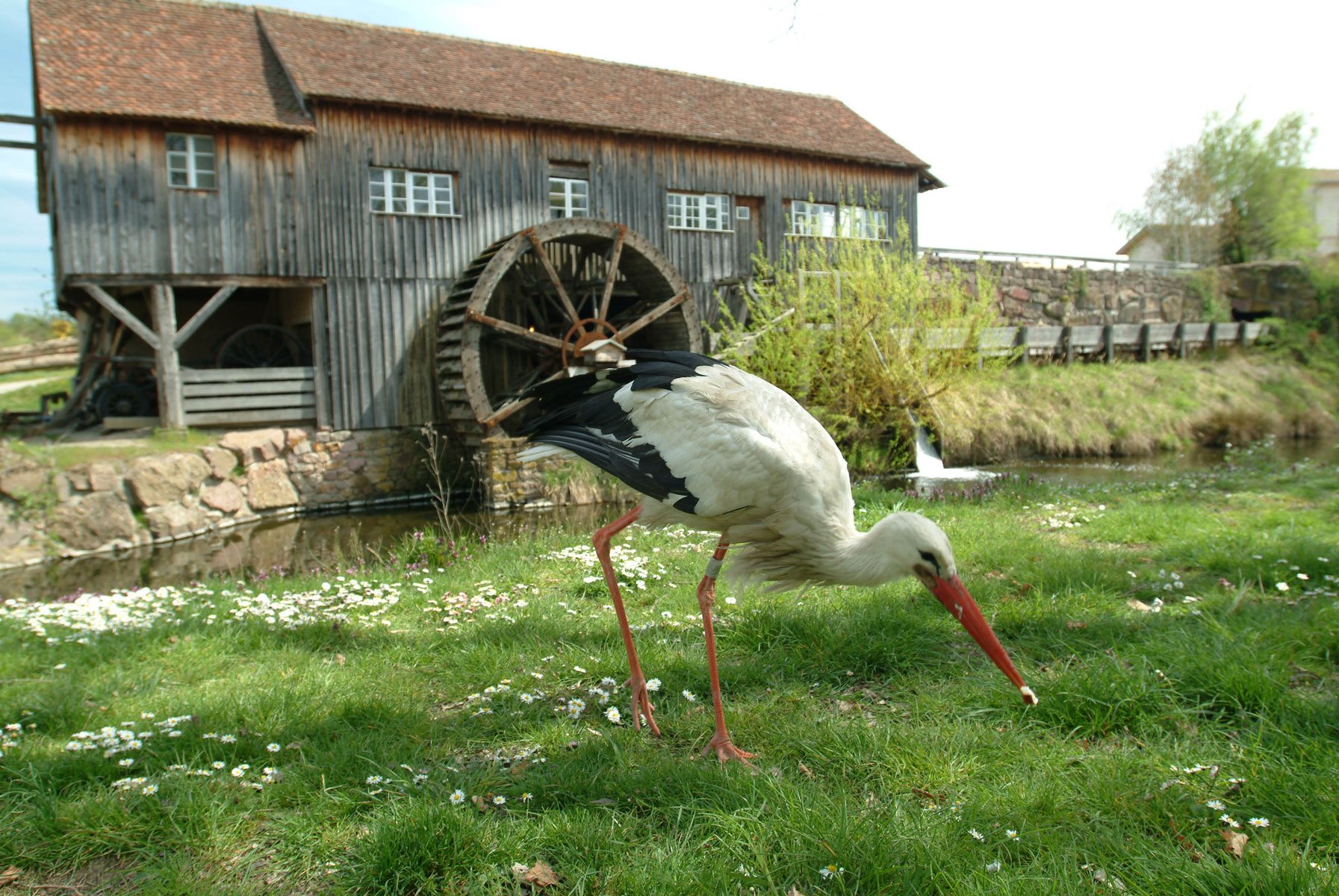 Alsace & Champagne — photo gallery 5