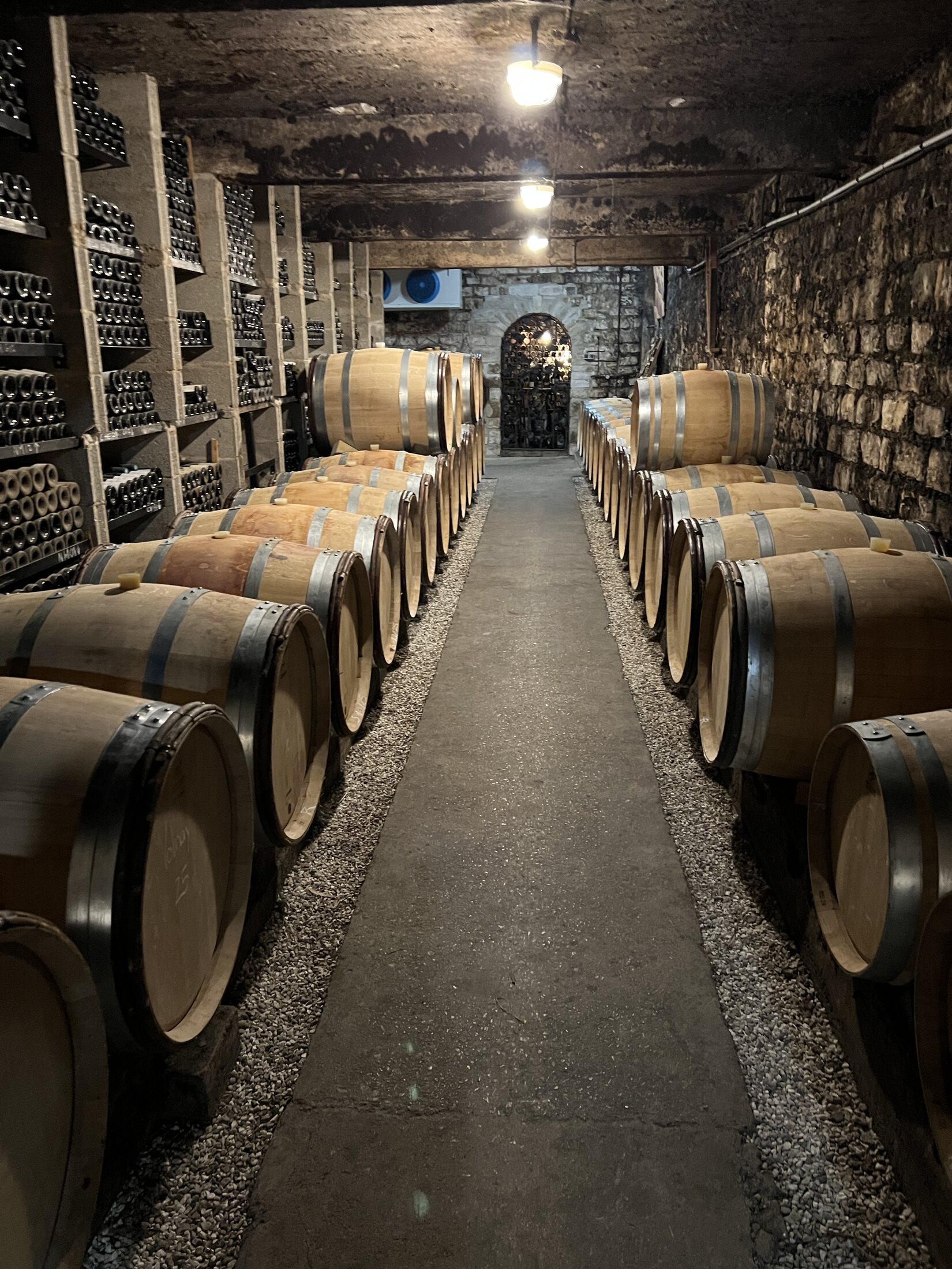 Burgundy — photo gallery 2